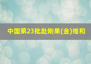 中国第23批赴刚果(金)维和