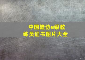 中国篮协e级教练员证书图片大全