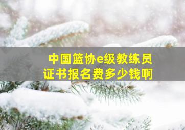 中国篮协e级教练员证书报名费多少钱啊