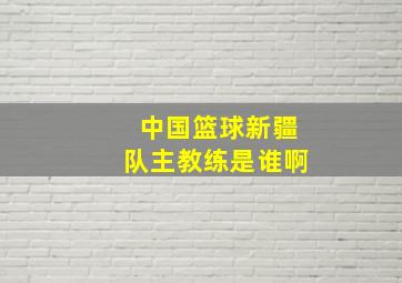 中国篮球新疆队主教练是谁啊