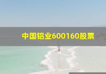 中国铝业600160股票