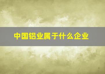 中国铝业属于什么企业