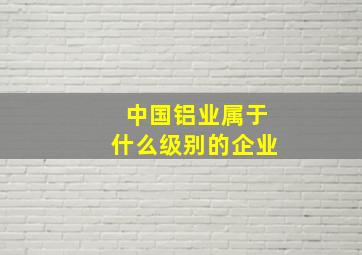 中国铝业属于什么级别的企业