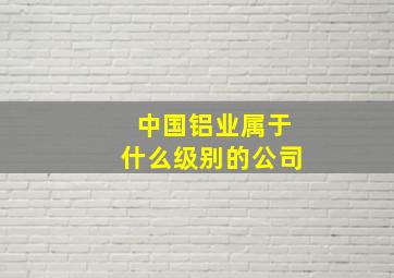 中国铝业属于什么级别的公司