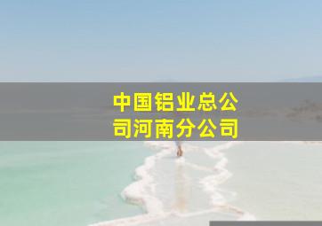 中国铝业总公司河南分公司