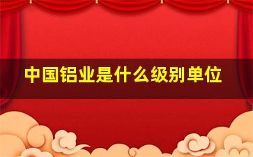 中国铝业是什么级别单位