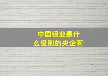 中国铝业是什么级别的央企啊