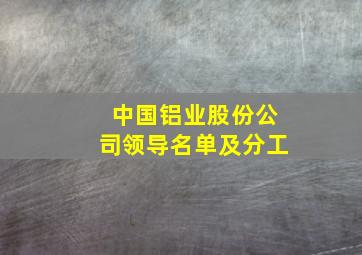 中国铝业股份公司领导名单及分工