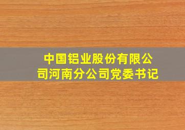 中国铝业股份有限公司河南分公司党委书记