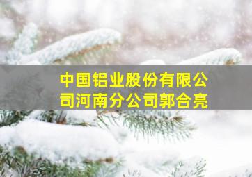 中国铝业股份有限公司河南分公司郭合亮