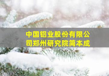 中国铝业股份有限公司郑州研究院简本成