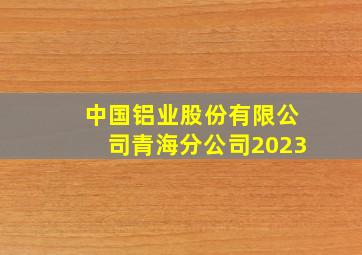 中国铝业股份有限公司青海分公司2023