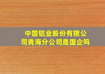 中国铝业股份有限公司青海分公司是国企吗