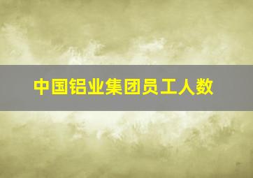 中国铝业集团员工人数