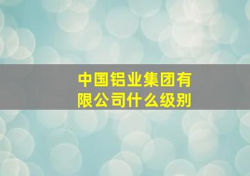 中国铝业集团有限公司什么级别