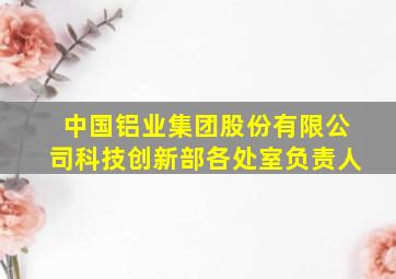 中国铝业集团股份有限公司科技创新部各处室负责人