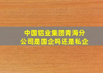 中国铝业集团青海分公司是国企吗还是私企