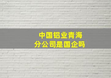 中国铝业青海分公司是国企吗