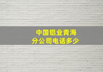 中国铝业青海分公司电话多少