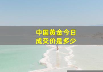 中国黄金今日成交价是多少