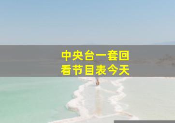 中央台一套回看节目表今天