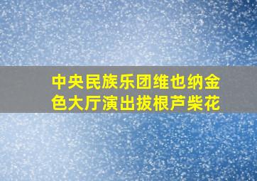 中央民族乐团维也纳金色大厅演出拔根芦柴花