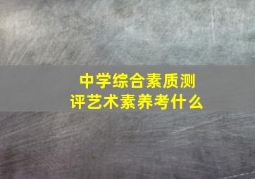 中学综合素质测评艺术素养考什么