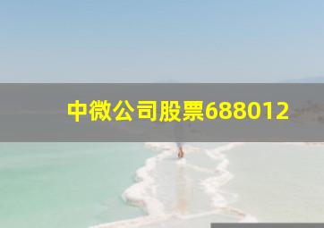 中微公司股票688012