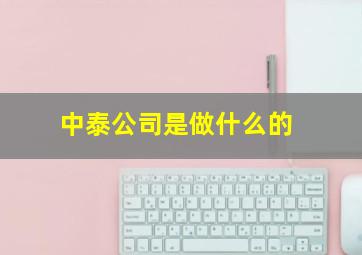 中泰公司是做什么的