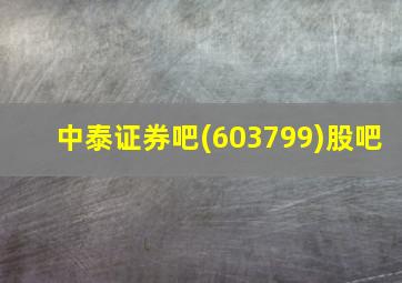 中泰证券吧(603799)股吧