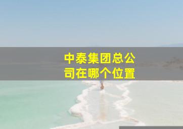 中泰集团总公司在哪个位置