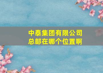 中泰集团有限公司总部在哪个位置啊