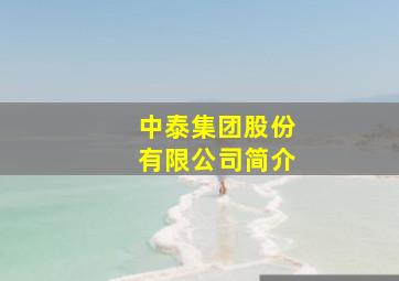 中泰集团股份有限公司简介