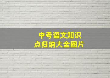 中考语文知识点归纳大全图片