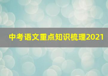 中考语文重点知识梳理2021