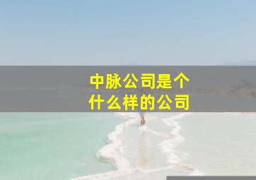 中脉公司是个什么样的公司