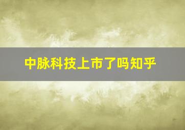 中脉科技上市了吗知乎