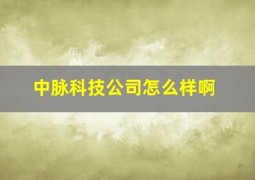 中脉科技公司怎么样啊