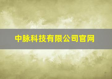 中脉科技有限公司官网