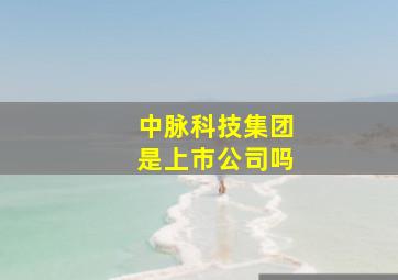 中脉科技集团是上市公司吗