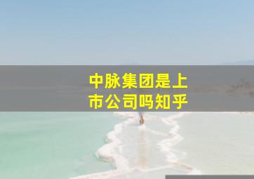 中脉集团是上市公司吗知乎