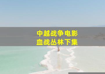 中越战争电影血战丛林下集