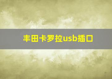 丰田卡罗拉usb插口