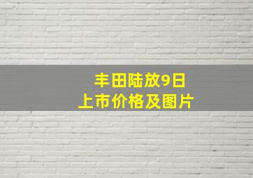 丰田陆放9日上市价格及图片