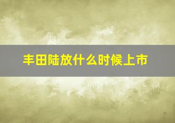 丰田陆放什么时候上市