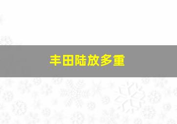 丰田陆放多重