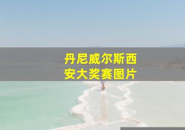 丹尼威尔斯西安大奖赛图片