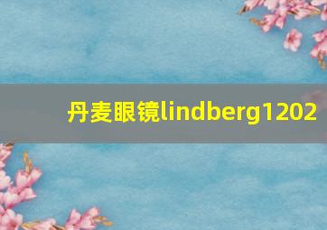 丹麦眼镜lindberg1202