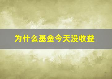 为什么基金今天没收益