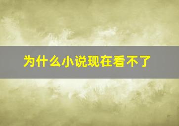 为什么小说现在看不了